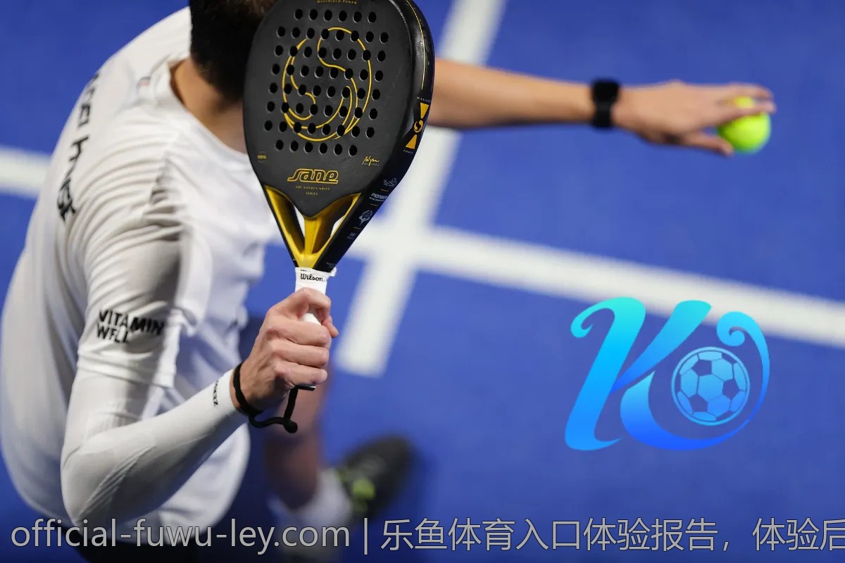 乐鱼体育入口体验报告，体验后的真实感受