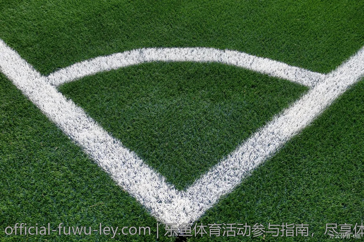 乐鱼体育活动参与指南，尽享体育乐趣
