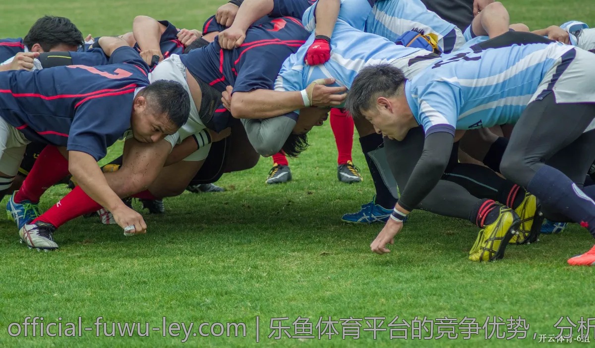 乐鱼体育平台的竞争优势，分析用户反馈