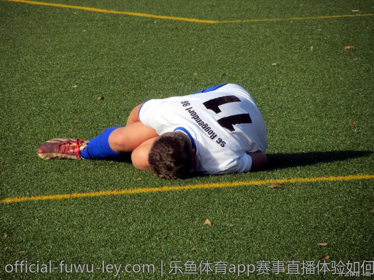乐鱼体育app赛事直播体验如何？用户评价解析