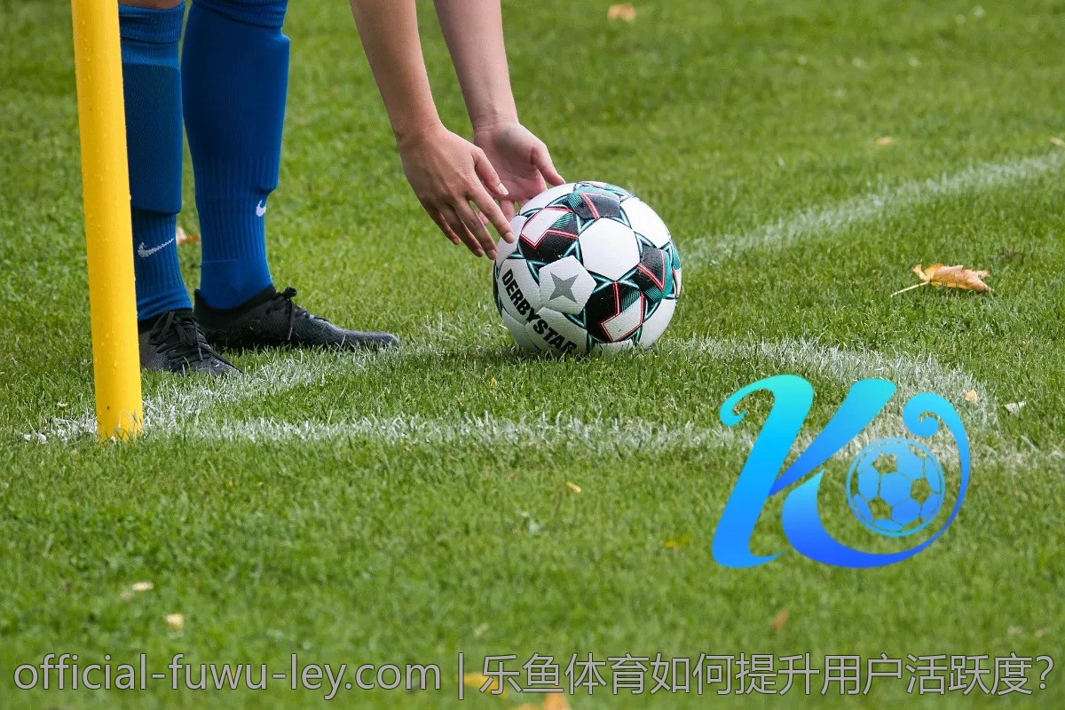 与乐鱼体育相似的平台有哪些？