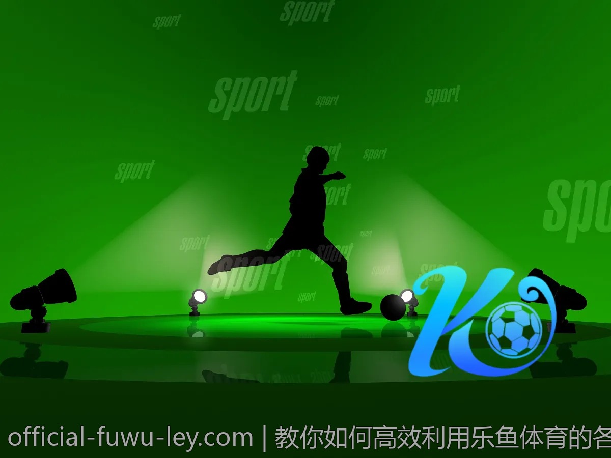 教你如何高效利用乐鱼体育的各项功能
