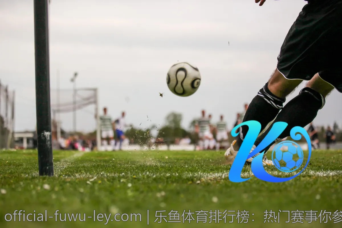 乐鱼体育排行榜：热门赛事你参与了吗？