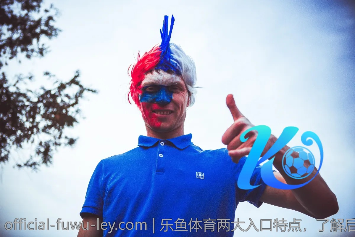 乐鱼体育两大入口特点，了解后再选择